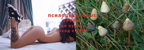 мяу мяу мука Новозыбков