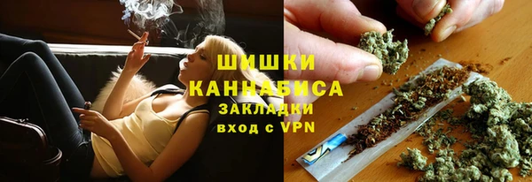 сатива Киреевск