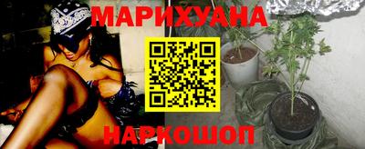 шишки Абинск