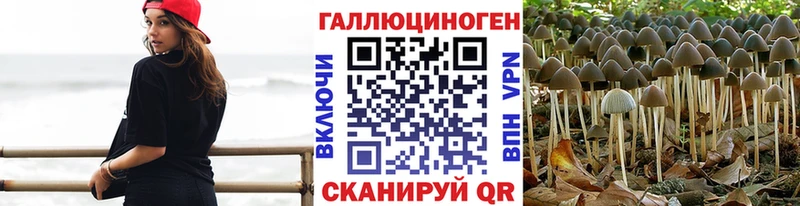 даркнет телеграм  Кондопога  гидра зеркало  Галлюциногенные грибы прущие грибы  магазин продажи наркотиков 