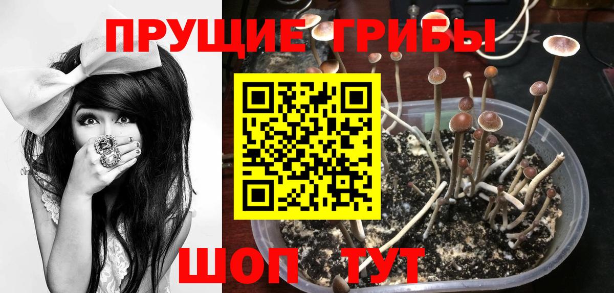 Бошки Шишки  Гарик  КОКАИН  25-NBOMe  Ketamine  Кондопога  Бошки Шишки  Ляпка  Мяу-Мяу  Вход с VPN 