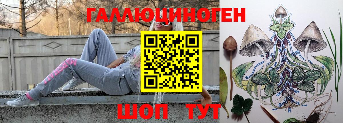 Кондопога  Псилоцибиновые грибы Psilocybe  Вход с VPN 