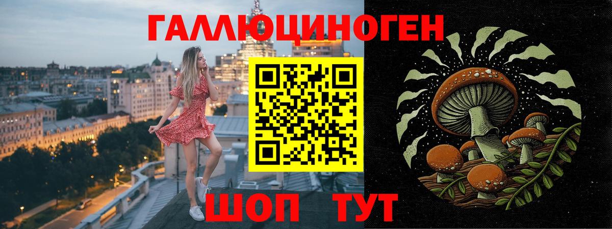 Псилоцибиновые грибы MAGIC MUSHROOMS Кондопога