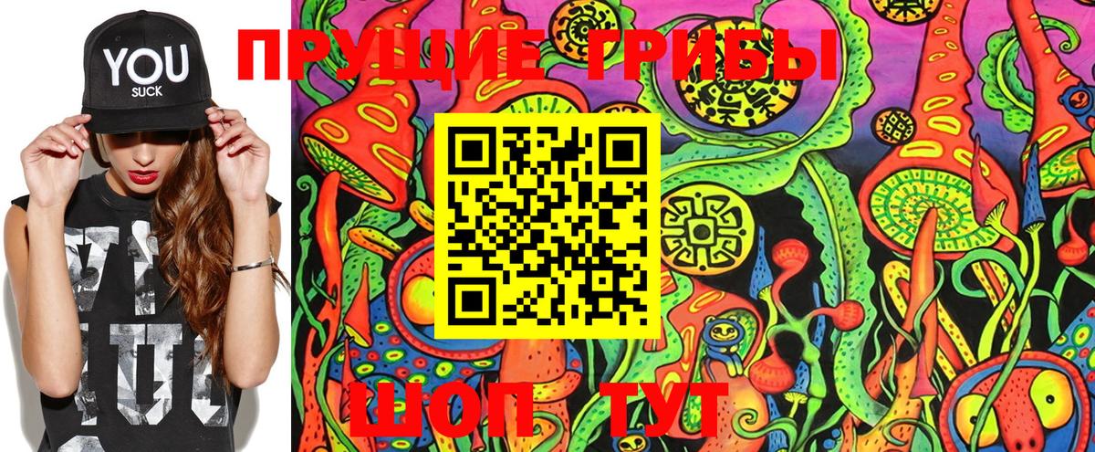 Галлюциногенные грибы ЛСД Кондопога